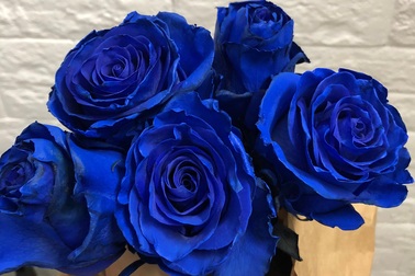 Hoa hồng xanh nhập khẩu vài trăm ngàn đồng/bông, không vào dịp lễ cũng “cháy hàng”