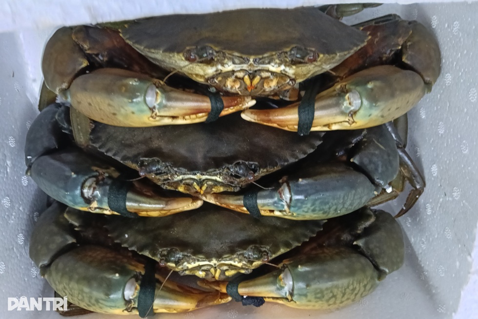 Sản phẩm chủ lực 10.000 tỷ đồng và cơ hội làm giàu cho chục ngàn hộ dân - 5 Sản phẩm chủ lực 10.000 tỷ đồng và cơ hội làm giàu cho chục ngàn hộ dân - 5