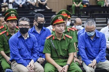 5 nhà thầu từ chối bồi thường vụ cao tốc Đà Nẵng - Quảng Ngãi