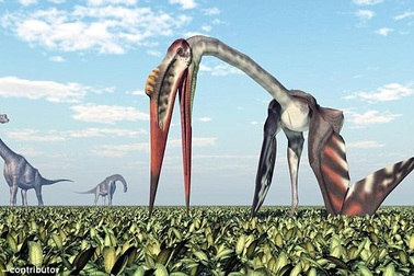 “Sát thủ trên không” to như máy bay, ăn thịt cả khủng long từng tồn tại trên Trái đất