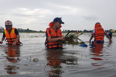 Nhiều vùng vẫn ngập sâu, cảnh sát cứu hỏa giúp dân chống "giặc nước"
