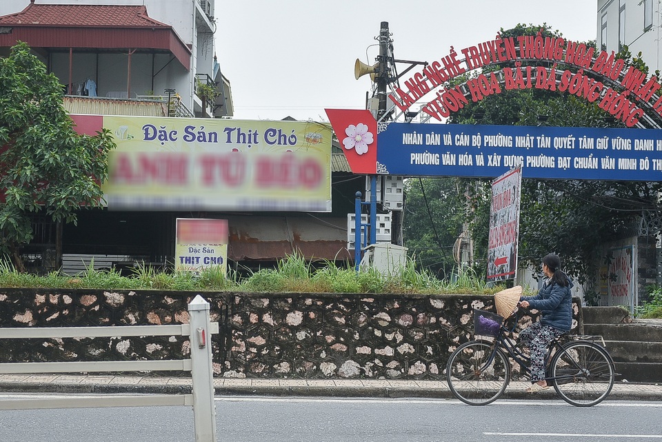 “Thủ phủ thịt chó Nhật Tân – nơi khách ăn nhậu cả ngày lẫn đêm giờ ra sao? - 9 “Thủ phủ thịt chó Nhật Tân – nơi khách ăn nhậu cả ngày lẫn đêm giờ ra sao? - 9