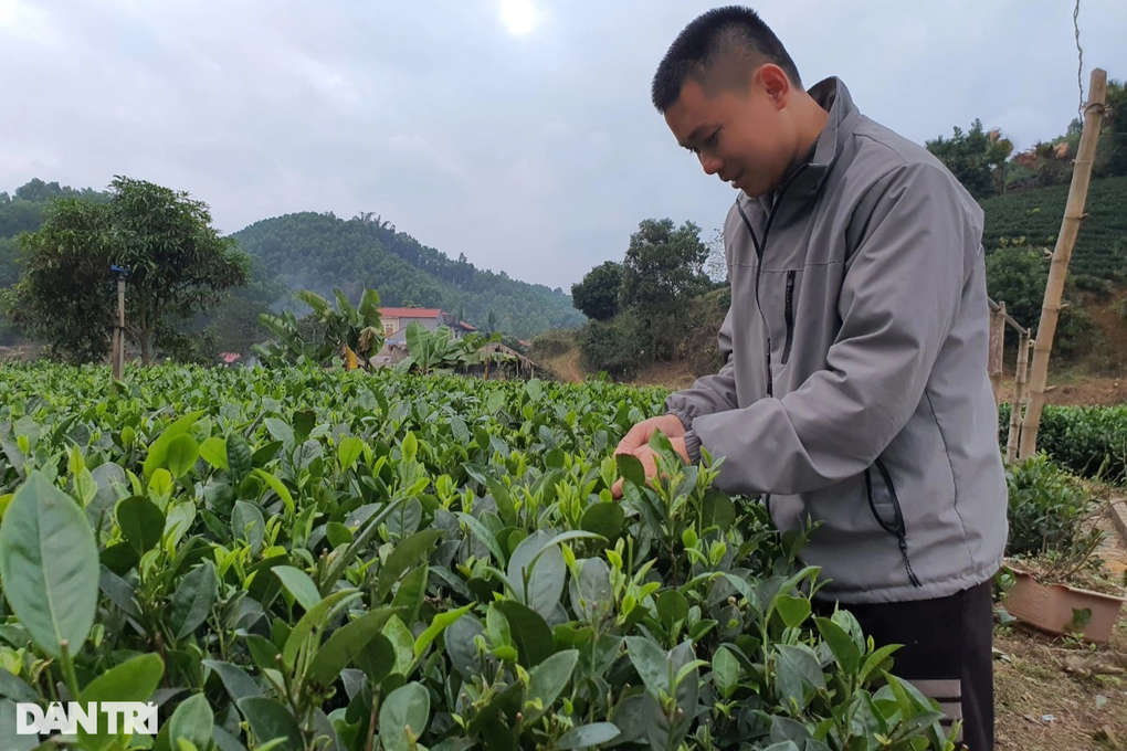 Tết đầm ấm của người đàn ông chấn thương sọ não trong căn nhà mới - 5 Tết đầm ấm của người đàn ông chấn thương sọ não trong căn nhà mới - 5