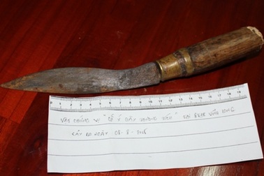 Vụ đâm trẻ sơ sinh: Nghi phạm đang hưởng trợ cấp người tàn tật