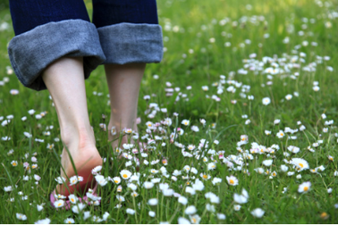 Tình và Tiền, nên chọn lối nào?