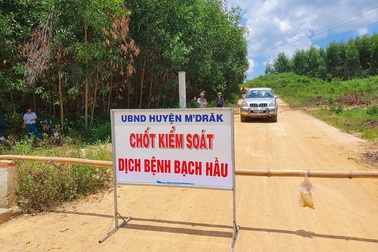 Đắk Lắk: Ghi nhận ca nhiễm bạch hầu thứ 28