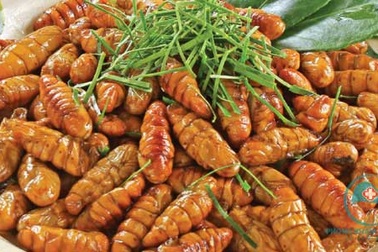 Nhộng tằm Đại Lãnh: Món ngon quê lụa