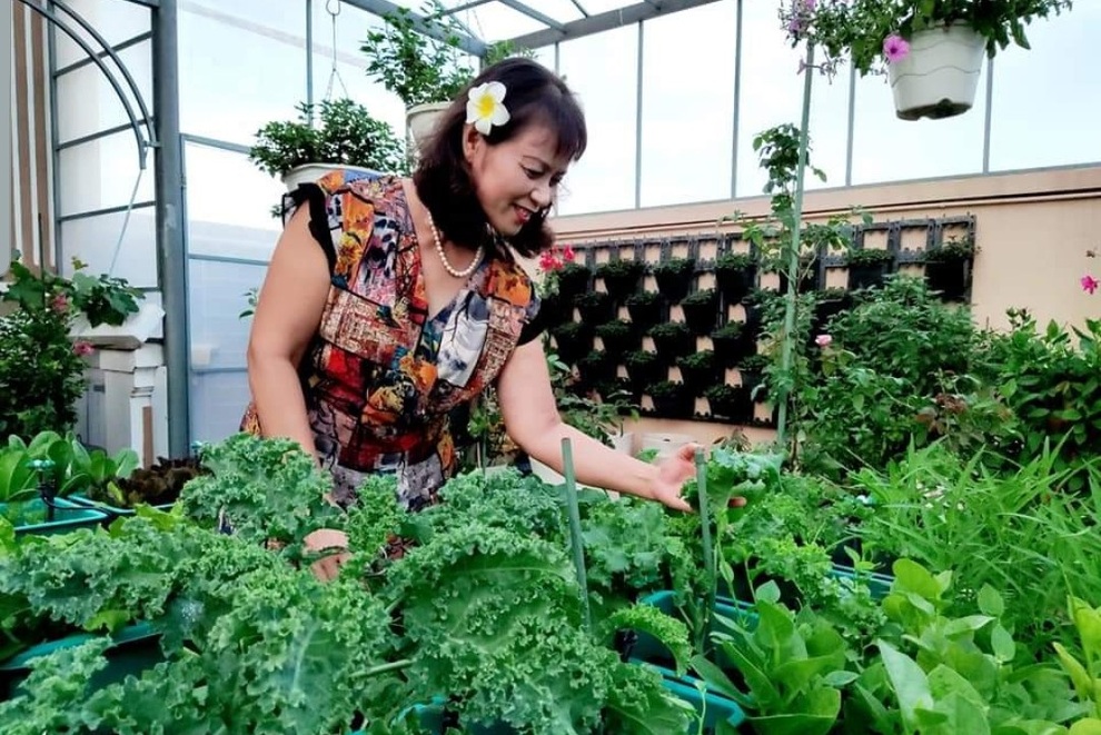 Vườn rau trái sum suê, thu hoạch mỏi tay của  nữ gia chủ ở Quy Nhơn - 3