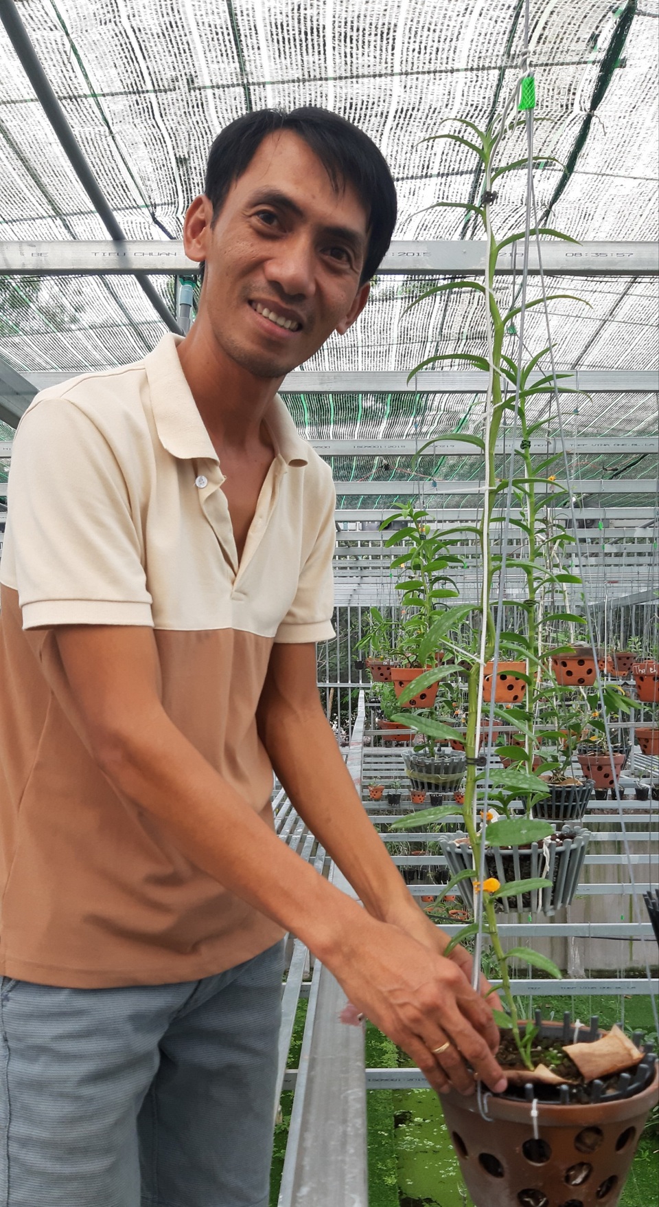Cơn sốt lan đột biến và thú chơi tiền tỷ: Cẩn trọng khi đầu tư vào lan Var - 1 Cơn sốt lan đột biến và thú chơi tiền tỷ: Cẩn trọng khi đầu tư vào lan Var - 1