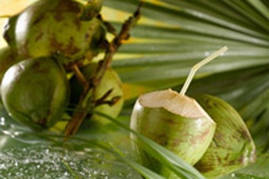 Các bài thuốc độc đáo từ dừa  