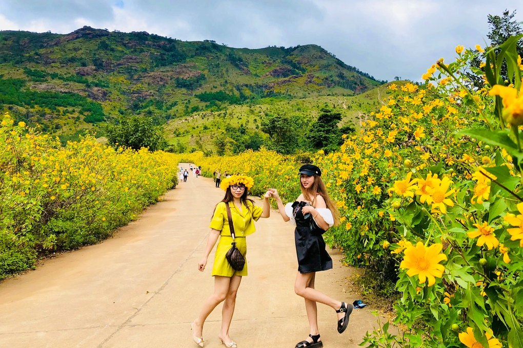 Check-in hoa dã quỳ bạt ngàn, trải nghiệm dù lượn độc đáo ở Gia Lai - 5 Check-in hoa dã quỳ bạt ngàn, trải nghiệm dù lượn độc đáo ở Gia Lai - 5