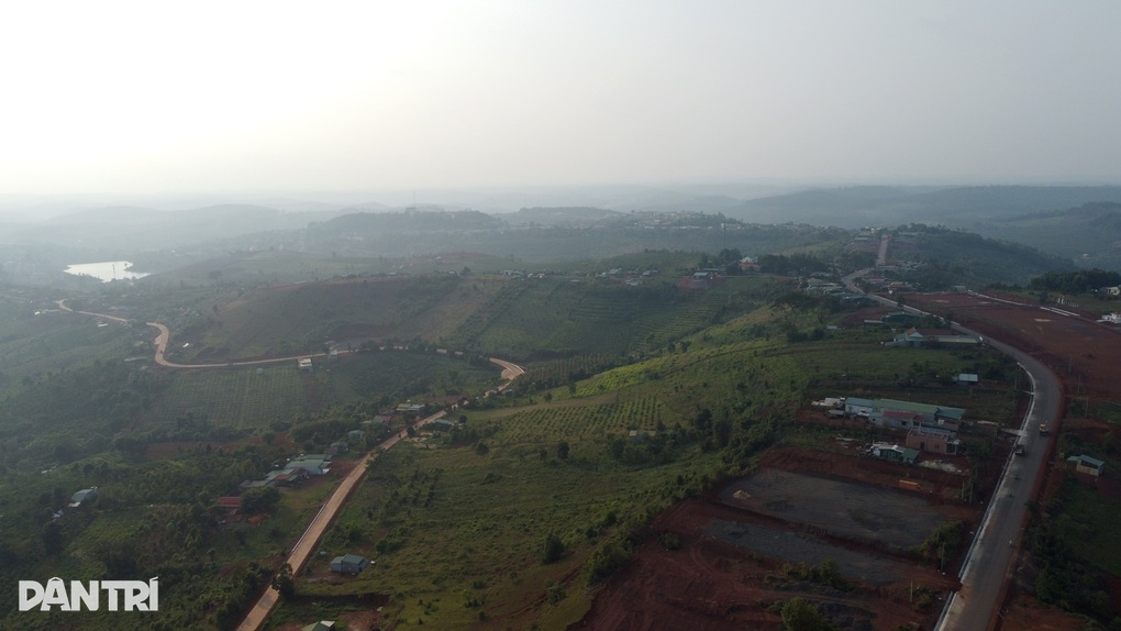Người dân biên giới có của ăn, của để nhờ trồng cây tỷ đô - 4 Người dân biên giới có của ăn, của để nhờ trồng cây tỷ đô - 4