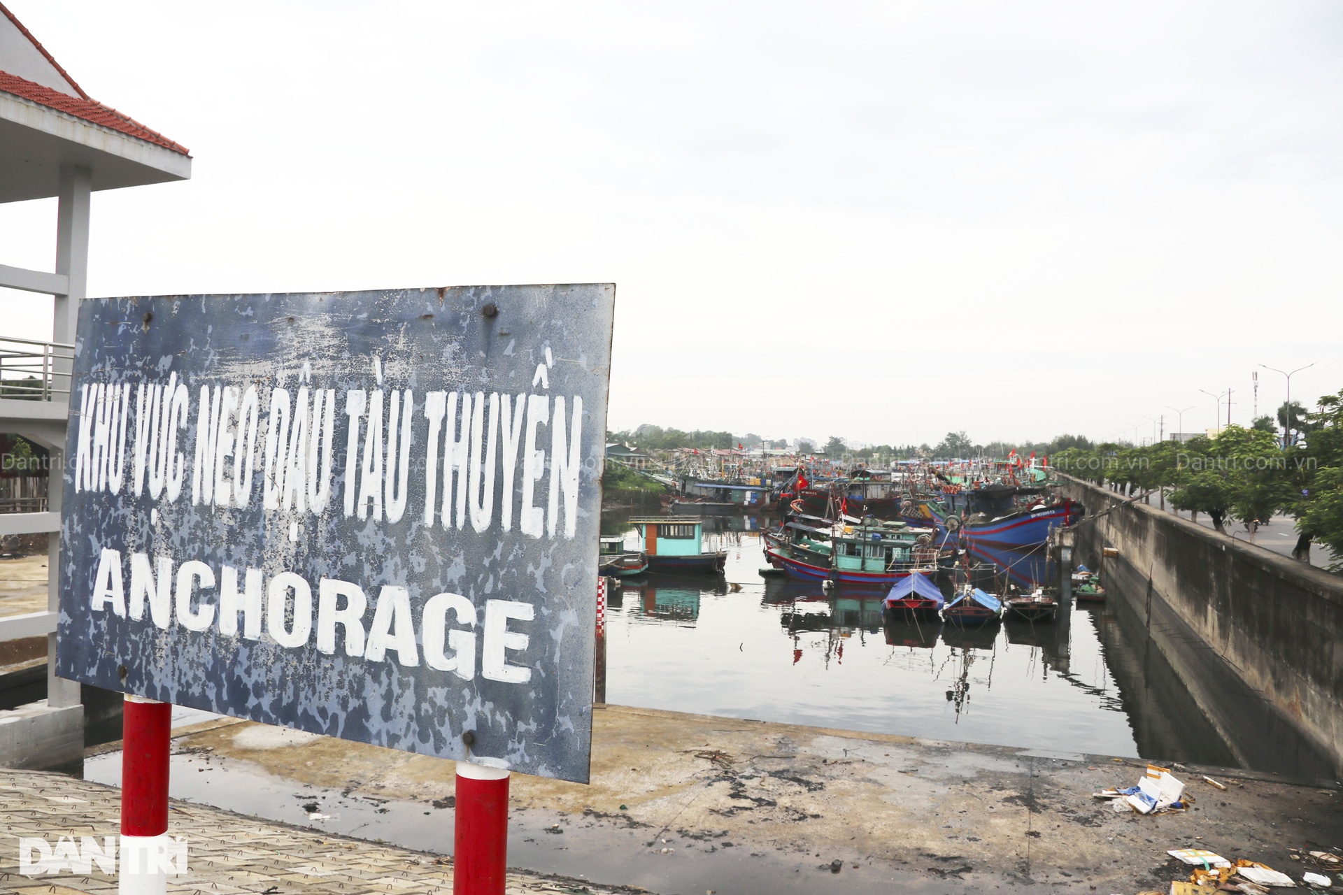 Ngư dân Hải Phòng lo lắng trước khi bão Yagi đổ bộ vào đất liền - 1 Ngư dân Hải Phòng lo lắng trước khi bão Yagi đổ bộ vào đất liền - 1