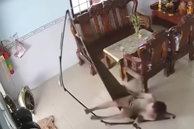 Chàng trai hốt hoảng ngã khỏi võng khi nhìn thấy rắn bò vào nhà