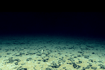 Khu vực độc nhất vô nhị trên Trái đất vẫn đang diễn ra… Kỷ Băng hà