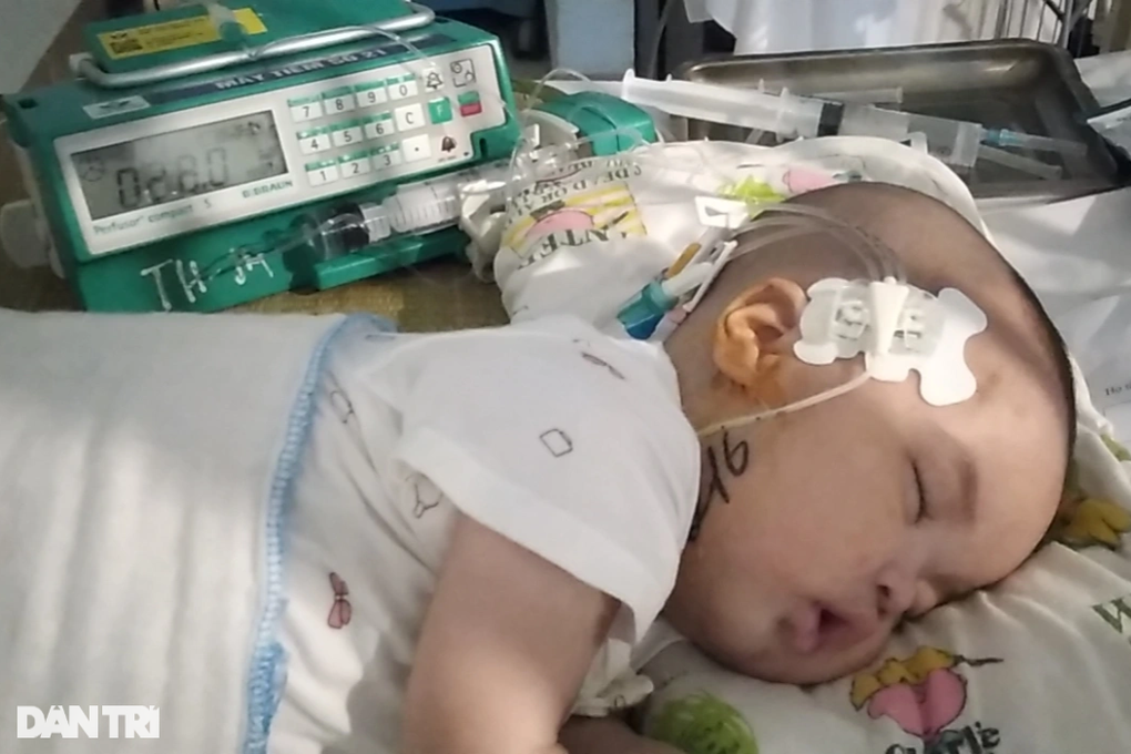 Tiếng khóc ngằn ngặt của bé mắc bệnh hiếm, khẩn cầu cơ hội được tái sinh - 4 Tiếng khóc ngằn ngặt của bé mắc bệnh hiếm, khẩn cầu cơ hội được tái sinh - 4