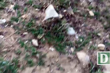 “Sống sót” ở Mũi Dinh