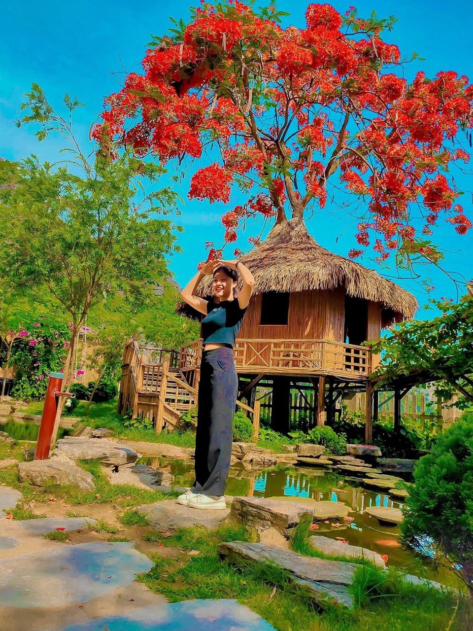 Phượng mọc giữa nhà gỗ, hồ sen nở rộ gây sốt ở “thánh địa sống ảo“ - 3 Phượng mọc giữa nhà gỗ, hồ sen nở rộ gây sốt ở “thánh địa sống ảo“ - 3