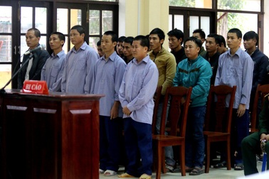 Xét xử 21 bị cáo trong vụ phá rừng pơmu ở khu vực biên giới