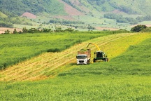 Đại gia bỏ vốn vào nông nghiệp, nhà nông sẽ “cùng thắng”?