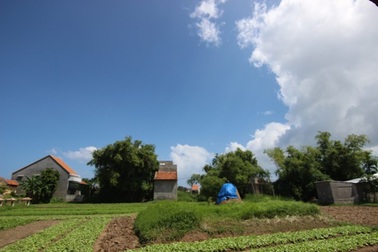 Cuối thu thanh bình nơi mảnh đất "hoa vàng trên cỏ xanh"