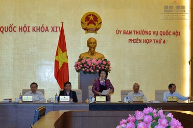 Trình Quốc hội cho thí điểm cấp thị thực điện tử