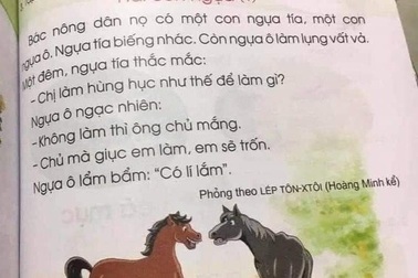 Bình tĩnh trước "sạn" sách giáo khoa: Phản biện chứ không thoá mạ