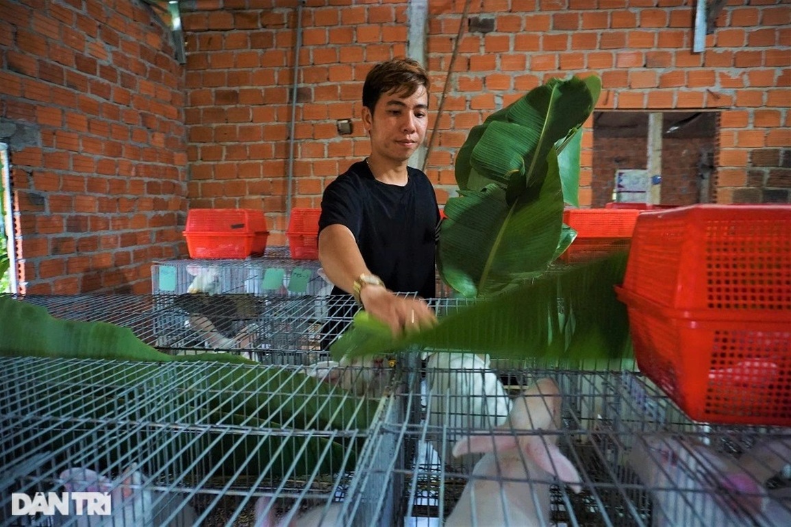 Nuôi thú cưng của chị Hằng, vừa khỏe lại còn đẻ ra tiền triệu - 5 Nuôi thú cưng của chị Hằng, vừa khỏe lại còn đẻ ra tiền triệu - 5
