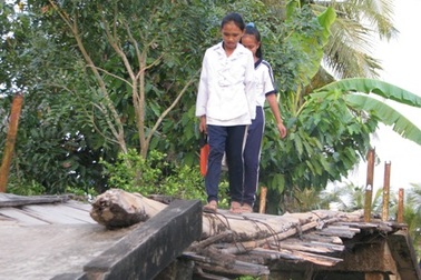 Học sinh "ngán" đường đến trường phải qua cây cầu gỗ mục nát