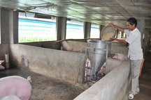 Bí quyết làm giàu của tỷ phú trang trại đa canh