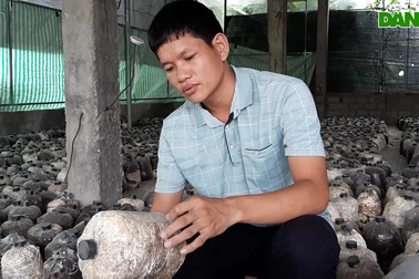 Anh Linh chia sẻ về  quá trình xây dựng mô hình trồng nấm của mình.