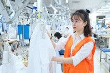 5 nhóm đối tượng nghỉ việc do sắp xếp bộ máy được hưởng trợ cấp thế nào?