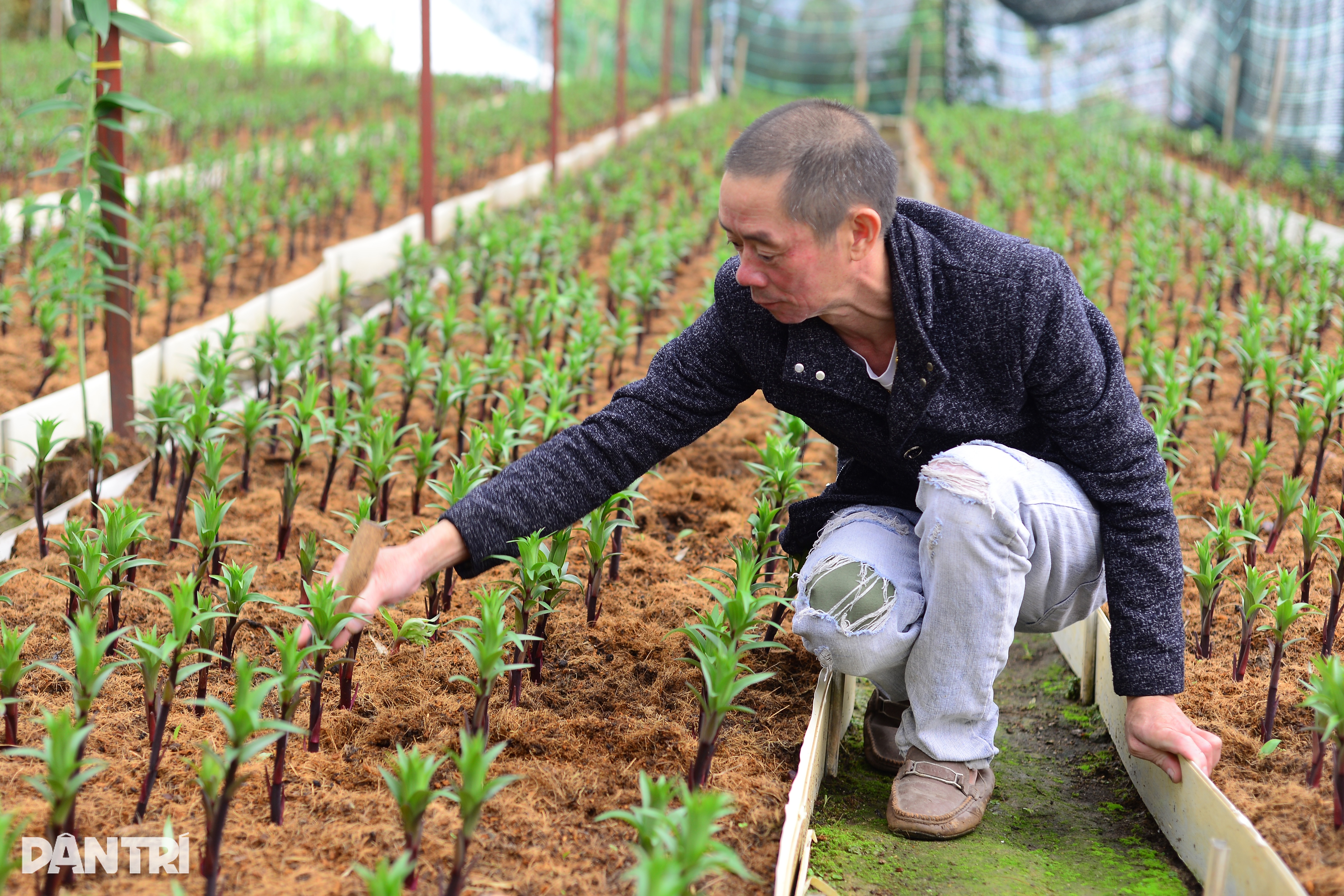 Đi làm thuê học bí quyết làm chủ, về bán vườn cà phê để khởi nghiệp - 1 Đi làm thuê học bí quyết làm chủ, về bán vườn cà phê để khởi nghiệp - 1