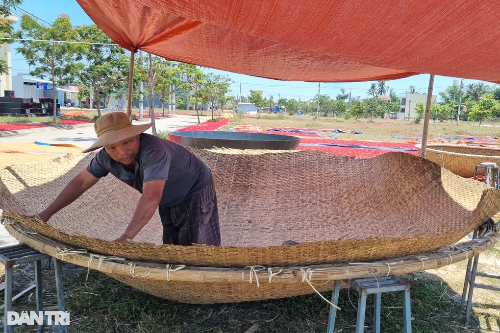 Thợ làm thuyền thúng chia sẻ công dụng không ngờ của phân bò - 2