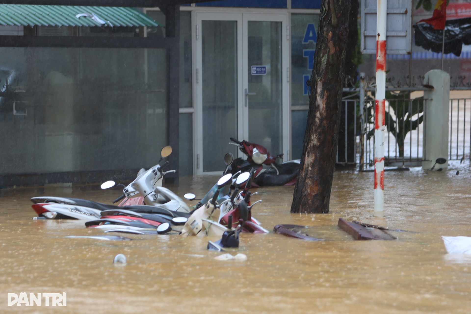 Hàng loạt ô tô xe máy ngập trong biển nước ở Huế, Đà Nẵng - 7