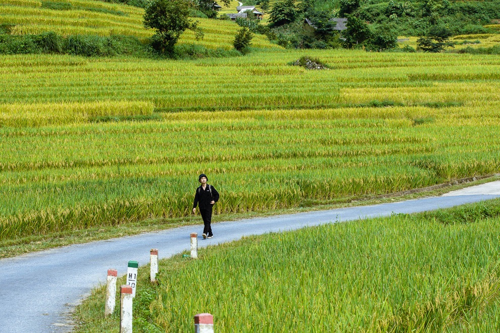 Sa Pa quyến rũ mùa lúa thay màu! - 8 Sa Pa quyến rũ mùa lúa thay màu! - 8