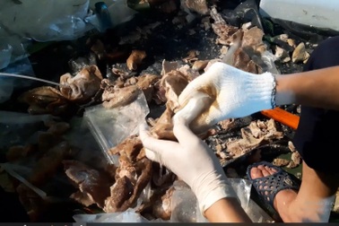 Phát hiện 90 kg ma túy giấu trong 900 dạ dày lợn được ép chân không