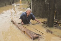 Các bệnh thường gặp sau lũ lụt