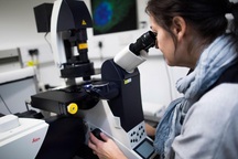 Hy vọng mới cho bệnh nhân bị u lympho Hodgkin