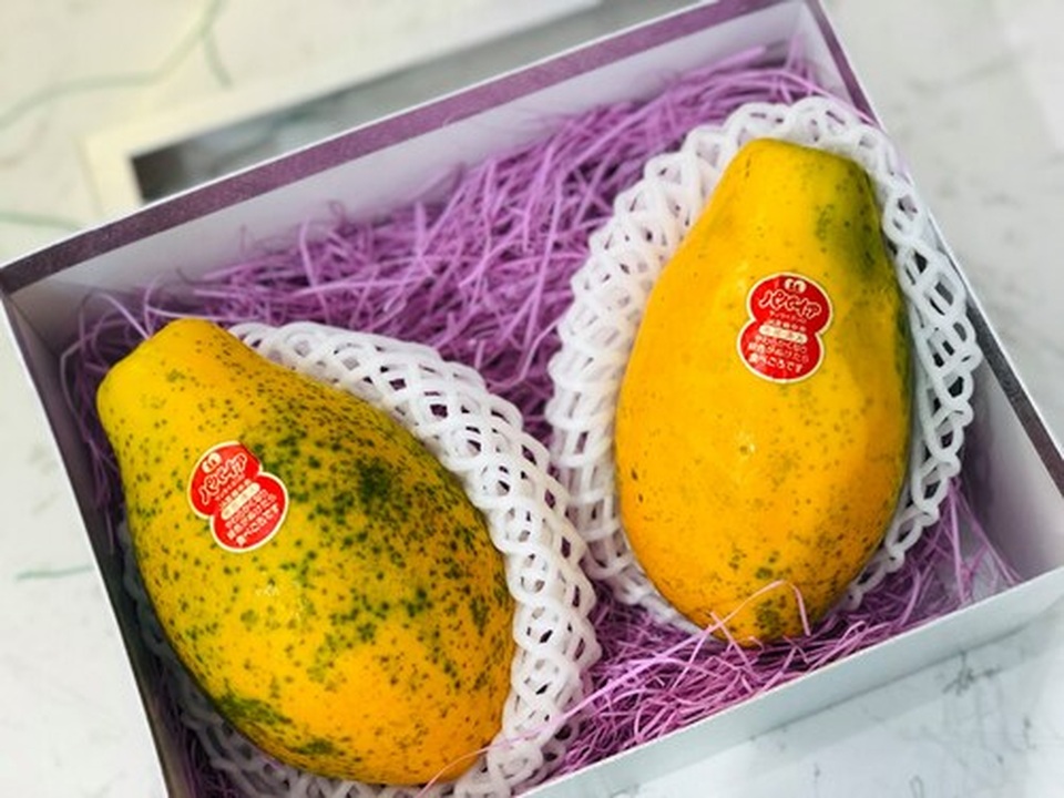 Đu đủ đi máy bay về Việt Nam giá 1,2 triệu đồng/kg có ngon xuất sắc? - 2 Đu đủ đi máy bay về Việt Nam giá 1,2 triệu đồng/kg có ngon xuất sắc? - 2