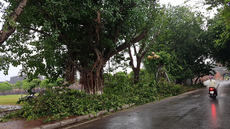 Phó Thủ tướng thị sát, kiểm tra công tác phòng chống ở vùng tâm bão - 13 Phó Thủ tướng thị sát, kiểm tra công tác phòng chống ở vùng tâm bão - 13