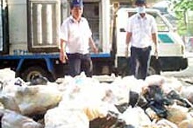 Phát hiện 19 tấn gà để hơn ba tháng tại Bình Dương