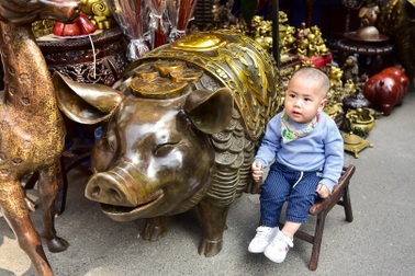 Lợn đồng trăm triệu được đại gia  " săn đón"