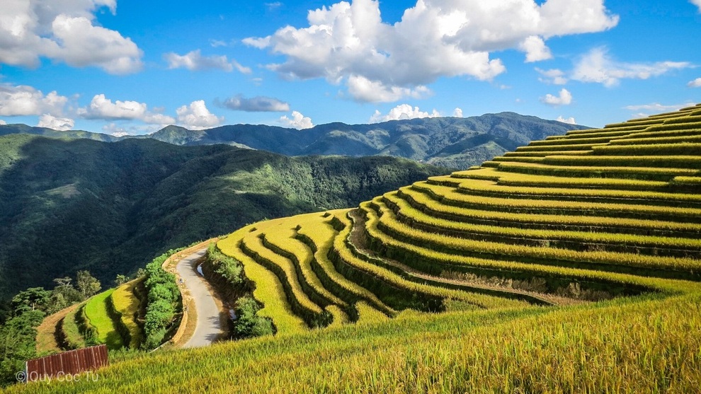 Những khoảnh khắc du lịch đáng nhớ của ban giám khảo cuộc thi My Vinpearl - My Moment - 3 Những khoảnh khắc du lịch đáng nhớ của ban giám khảo cuộc thi My Vinpearl - My Moment - 3