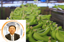 Anh trai lãnh đạo Hoàng Anh Gia Lai muốn bán hết cổ phiếu