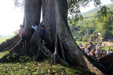 Phóng sự ảnh: Chợ phiên cổ tích dưới gốc đa già