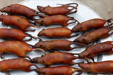 “Sẽ không có thịt thú rừng hay món ăn phản cảm bày bán tại hội chợ”