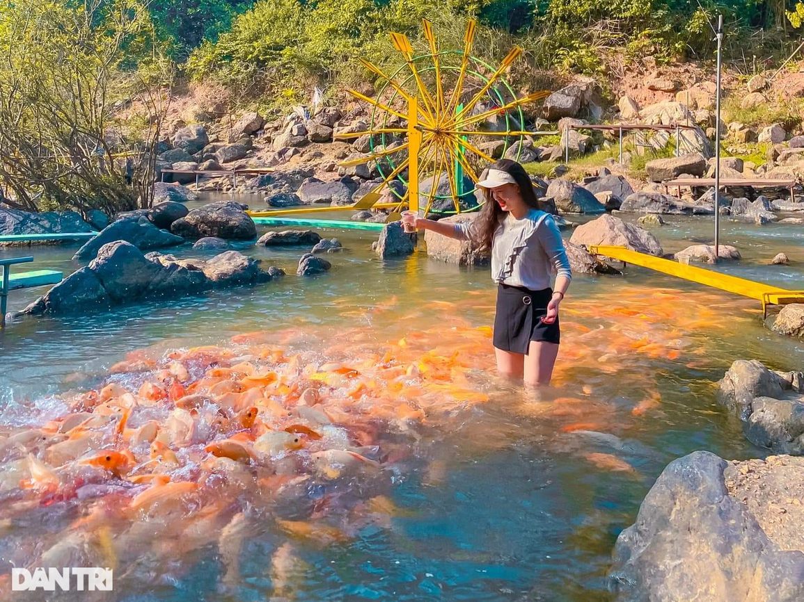 Chiêm ngưỡng dòng suối cá vàng độc đáo ở miền Tây xứ Nghệ - 8 Chiêm ngưỡng dòng suối cá vàng độc đáo ở miền Tây xứ Nghệ - 8
