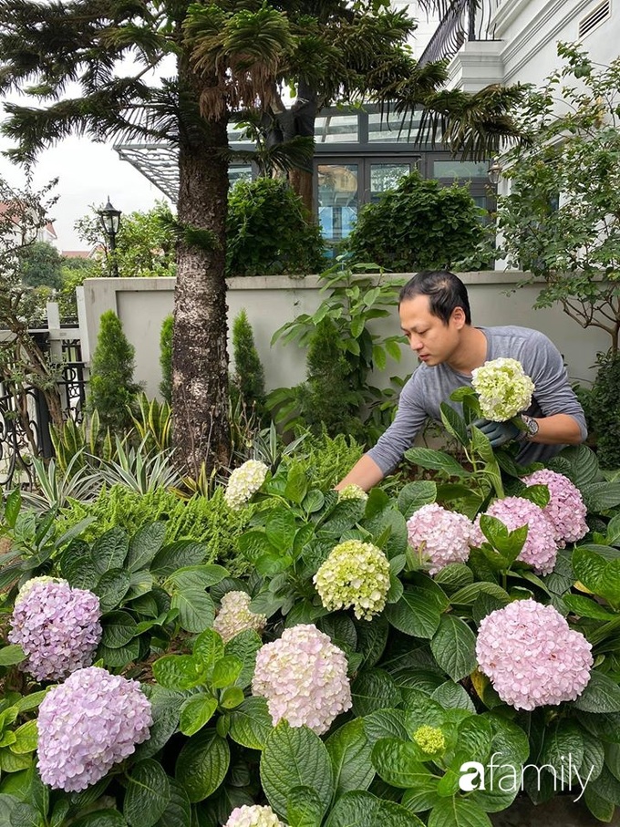Bí quyết tạo bố cục khi trồng cây để có khu vườn đẹp như châu Âu của người đàn ông yêu thiên nhiên ở Hà Nội - Ảnh 22. Bí quyết tạo bố cục khi trồng cây để có khu vườn đẹp như châu Âu của người đàn ông yêu thiên nhiên ở Hà Nội - Ảnh 22.