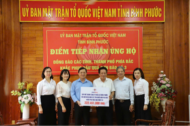 EVNSPC: Gần 14 tỷ đồng hỗ trợ các tỉnh miền Bắc thiệt hại do bão số 3